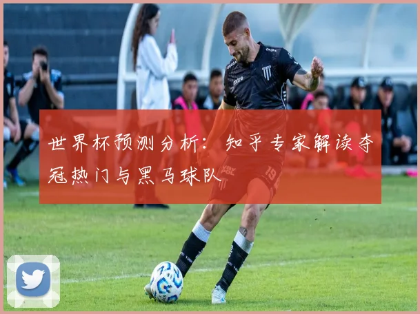 世界杯预测分析：知乎专家解读夺冠热门与黑马球队