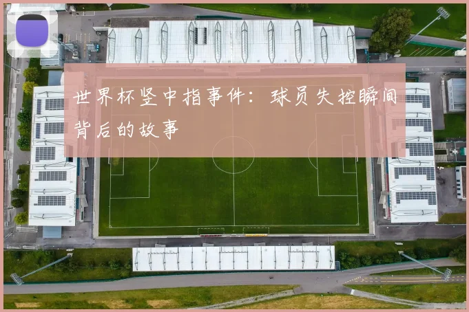 世界杯竖中指事件：球员失控瞬间背后的故事