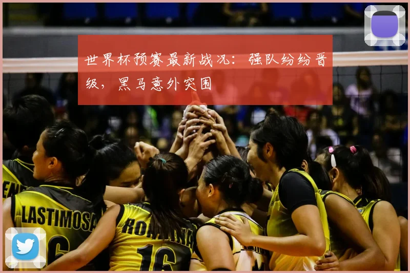 世界杯预赛最新战况：强队纷纷晋级，黑马意外突围