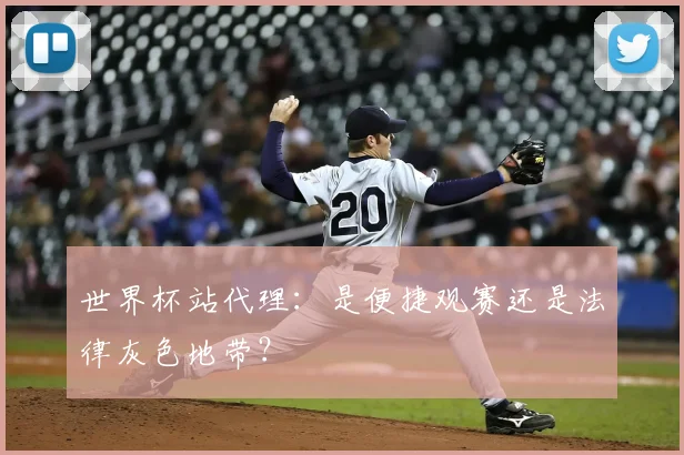 世界杯站代理：是便捷观赛还是法律灰色地带？