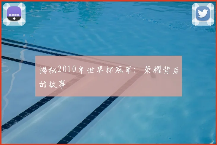 揭秘2010年世界杯冠军：荣耀背后的故事