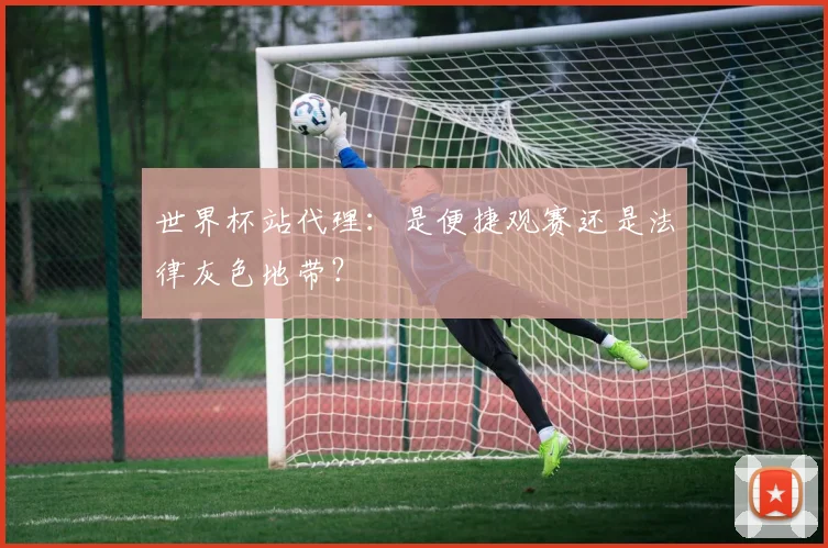 世界杯站代理：是便捷观赛还是法律灰色地带？